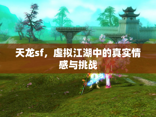 天龙sf，虚拟江湖中的真实情感与挑战