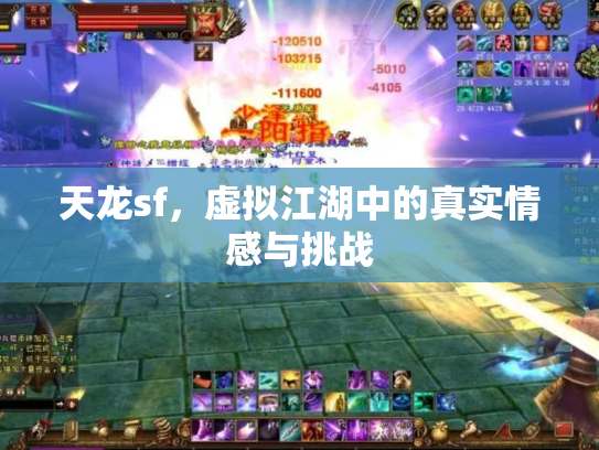 天龙sf，虚拟江湖中的真实情感与挑战