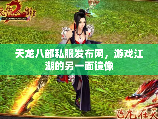 天龙八部私服发布网，游戏江湖的另一面镜像