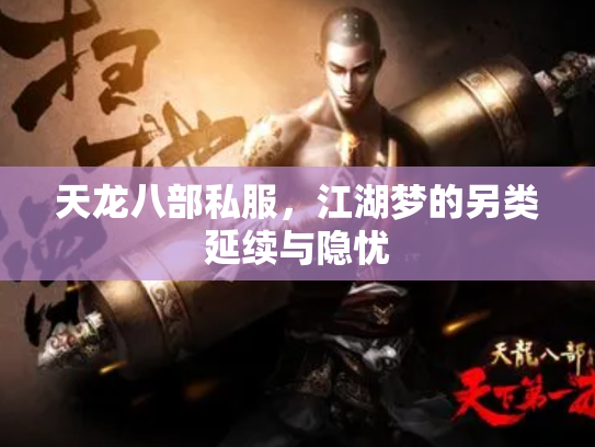 天龙八部私服，江湖梦的另类延续与隐忧