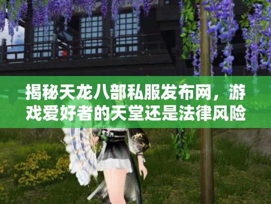 揭秘天龙八部私服发布网，游戏爱好者的天堂还是法律风险的深渊？