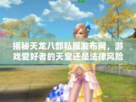 揭秘天龙八部私服发布网，游戏爱好者的天堂还是法律风险的深渊？