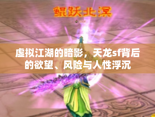 虚拟江湖的暗影，天龙sf背后的欲望、风险与人性浮沉