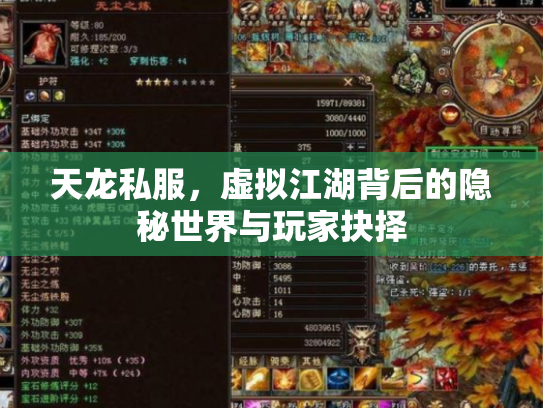 天龙私服，虚拟江湖背后的隐秘世界与玩家抉择
