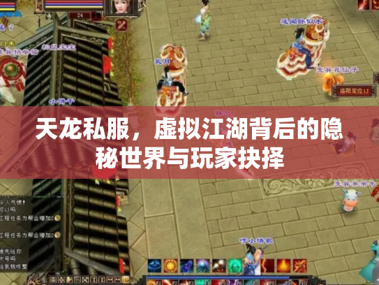 天龙私服，虚拟江湖背后的隐秘世界与玩家抉择
