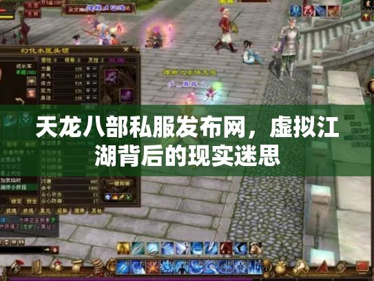 天龙八部私服发布网，虚拟江湖背后的现实迷思
