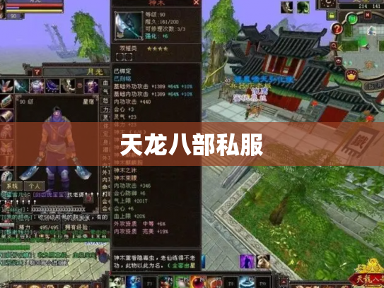 天龙八部私服