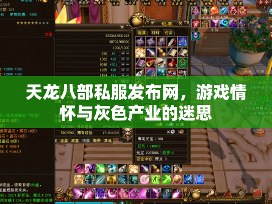 天龙八部私服发布网，游戏情怀与灰色产业的迷思