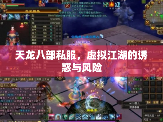 天龙八部私服，虚拟江湖的诱惑与风险