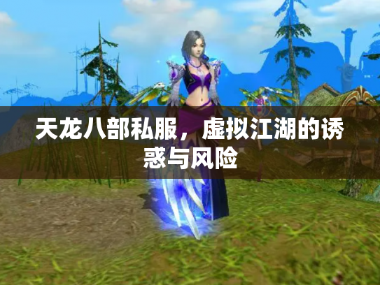天龙八部私服，虚拟江湖的诱惑与风险