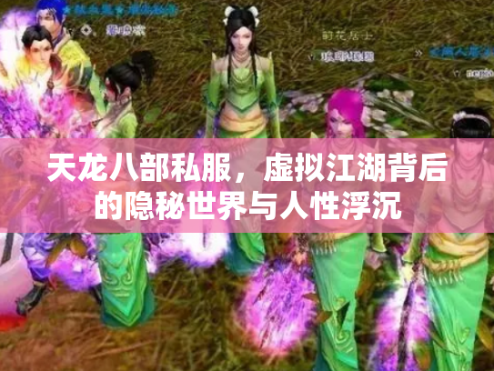 天龙八部私服，虚拟江湖背后的隐秘世界与人性浮沉