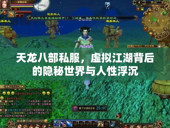 天龙八部私服，虚拟江湖背后的隐秘世界与人性浮沉