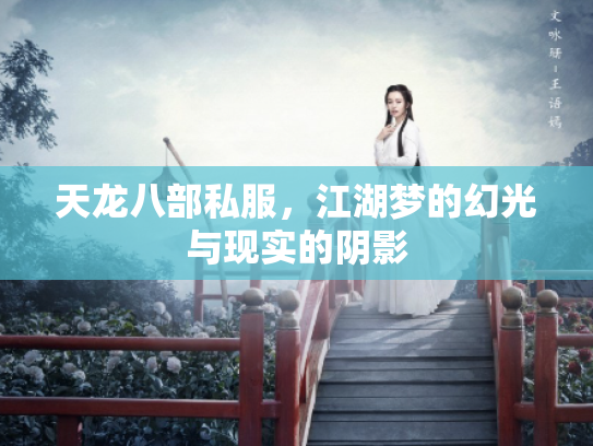 天龙八部私服，江湖梦的幻光与现实的阴影