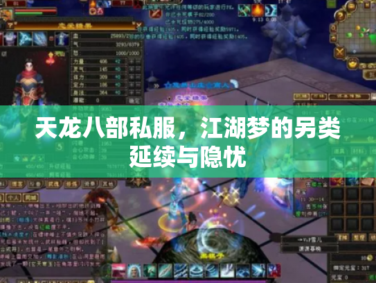 天龙八部私服，江湖梦的另类延续与隐忧
