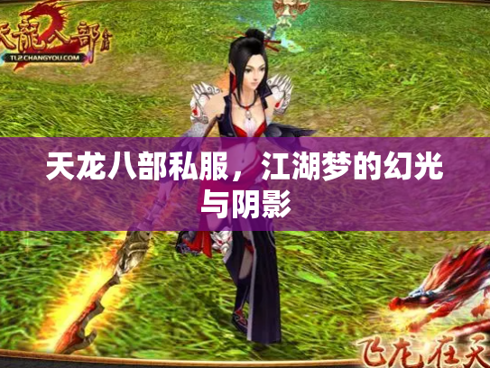 天龙八部私服，江湖梦的幻光与阴影