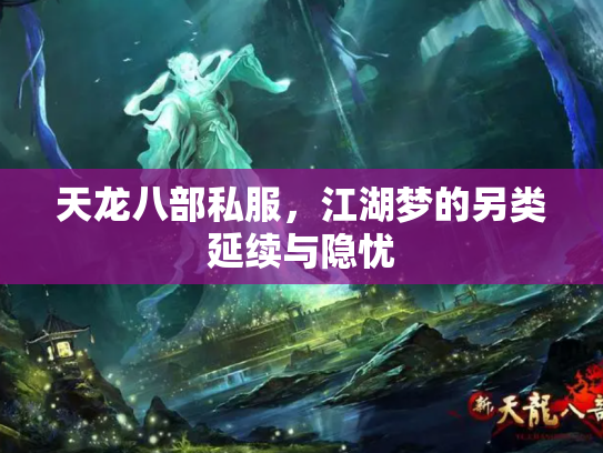 天龙八部私服，江湖梦的另类延续与隐忧