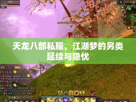天龙八部私服，江湖梦的另类延续与隐忧