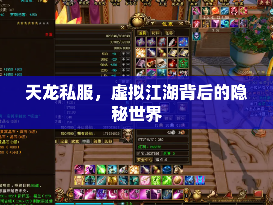 天龙私服，虚拟江湖背后的隐秘世界