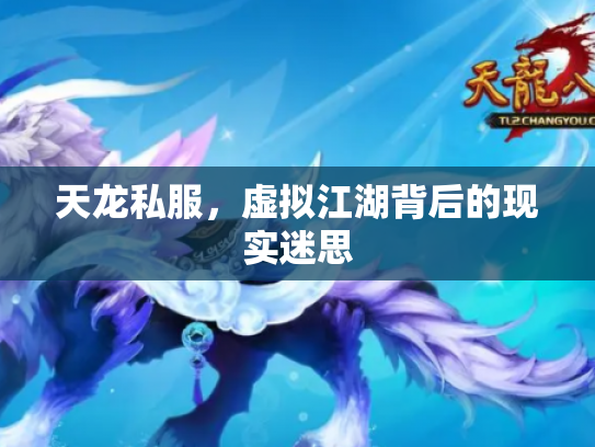 天龙私服，虚拟江湖背后的现实迷思