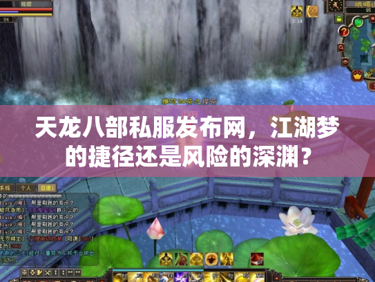 天龙八部私服发布网，江湖梦的捷径还是风险的深渊？