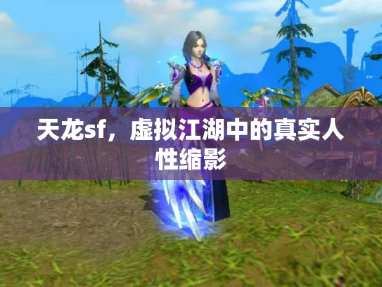 天龙sf，虚拟江湖中的真实人性缩影