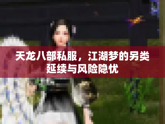 天龙八部私服，江湖梦的另类延续与风险隐忧