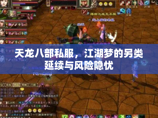 天龙八部私服，江湖梦的另类延续与风险隐忧