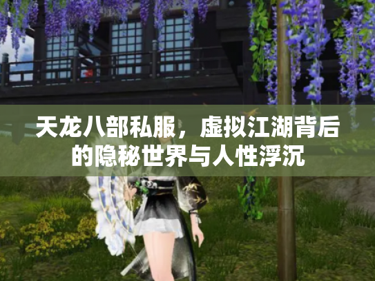 天龙八部私服，虚拟江湖背后的隐秘世界与人性浮沉