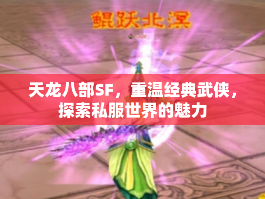 天龙八部SF，重温经典武侠，探索私服世界的魅力