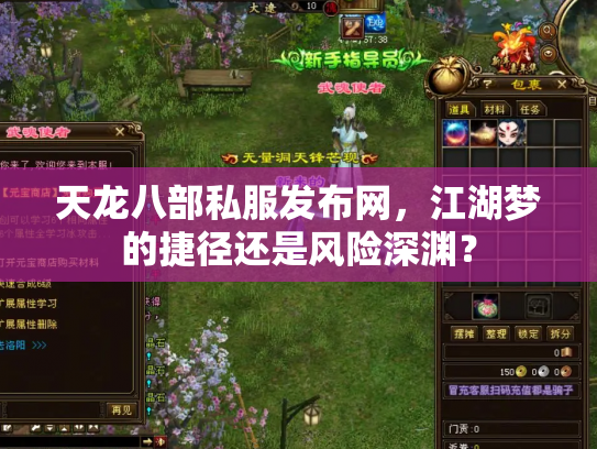 天龙八部私服发布网，江湖梦的捷径还是风险深渊？
