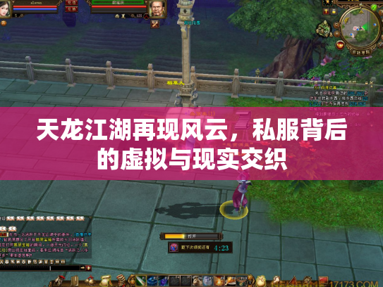 天龙江湖再现风云，私服背后的虚拟与现实交织