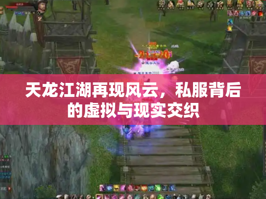 天龙江湖再现风云，私服背后的虚拟与现实交织