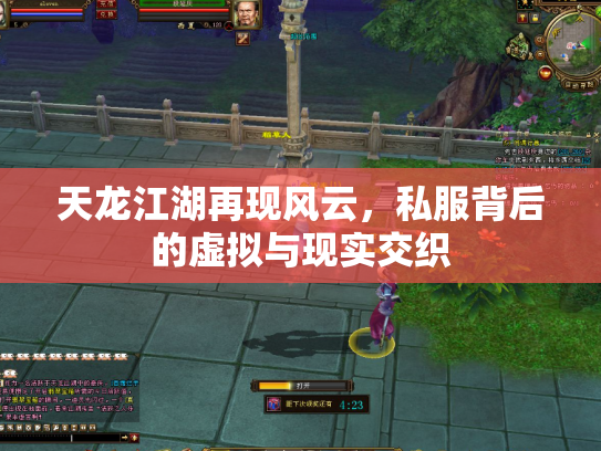 天龙江湖再现风云，私服背后的虚拟与现实交织