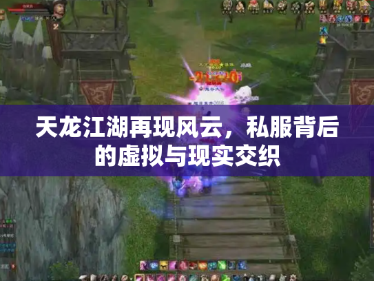 天龙江湖再现风云，私服背后的虚拟与现实交织