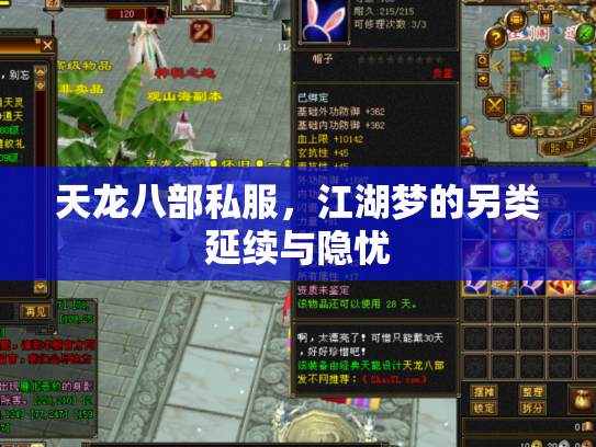 天龙八部私服，江湖梦的另类延续与隐忧