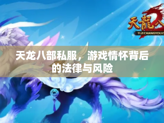 天龙八部私服，游戏情怀背后的法律与风险