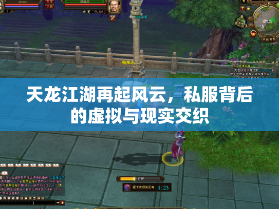 天龙江湖再起风云，私服背后的虚拟与现实交织