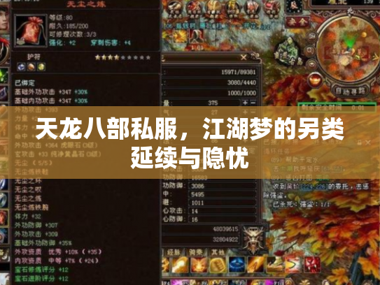 天龙八部私服，江湖梦的另类延续与隐忧