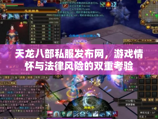 天龙八部私服发布网，游戏情怀与法律风险的双重考验