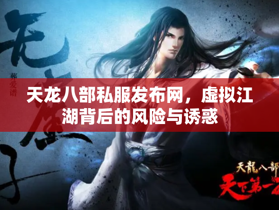 天龙八部私服发布网，虚拟江湖背后的风险与诱惑