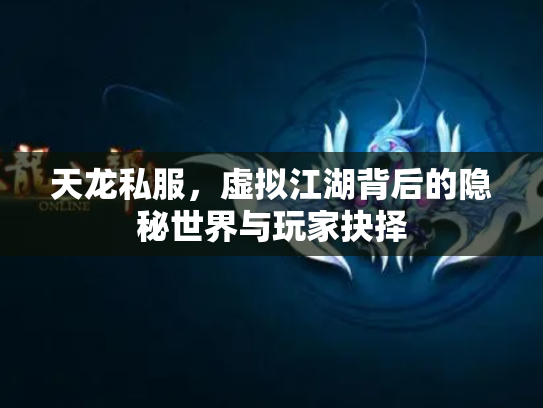 天龙私服，虚拟江湖背后的隐秘世界与玩家抉择