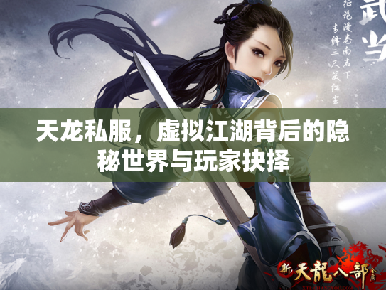 天龙私服，虚拟江湖背后的隐秘世界与玩家抉择