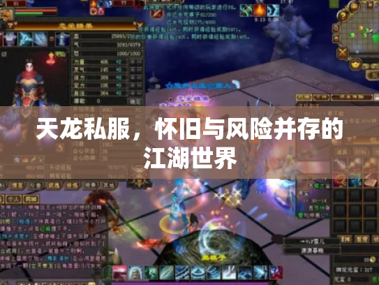 天龙私服，怀旧与风险并存的江湖世界