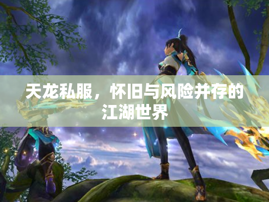 天龙私服，怀旧与风险并存的江湖世界