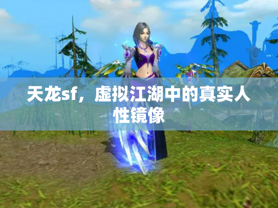 天龙sf，虚拟江湖中的真实人性镜像