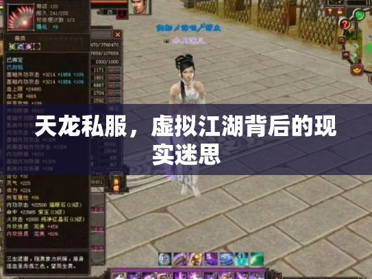 天龙私服，虚拟江湖背后的现实迷思