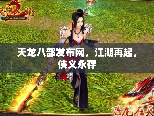 天龙八部发布网，江湖再起，侠义永存