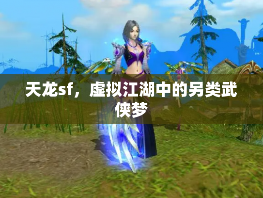 天龙sf，虚拟江湖中的另类武侠梦