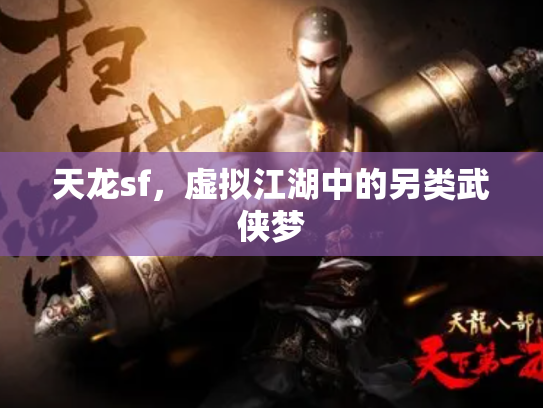 天龙sf，虚拟江湖中的另类武侠梦