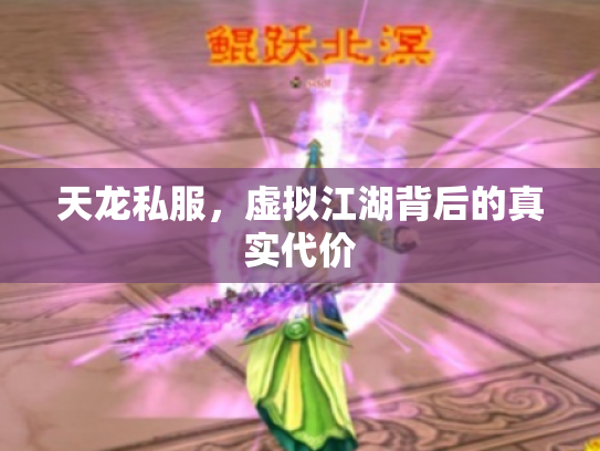 天龙私服，虚拟江湖背后的真实代价